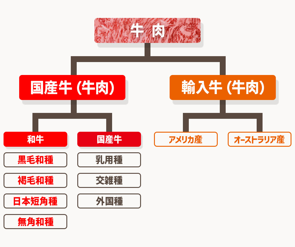 国産牛と輸入牛