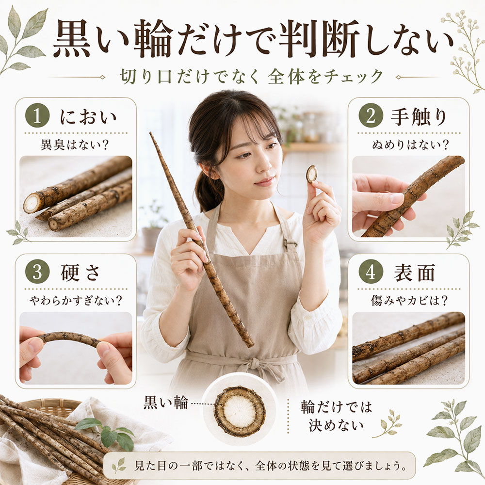 食べられるごぼうと避けたいごぼうの見分け方