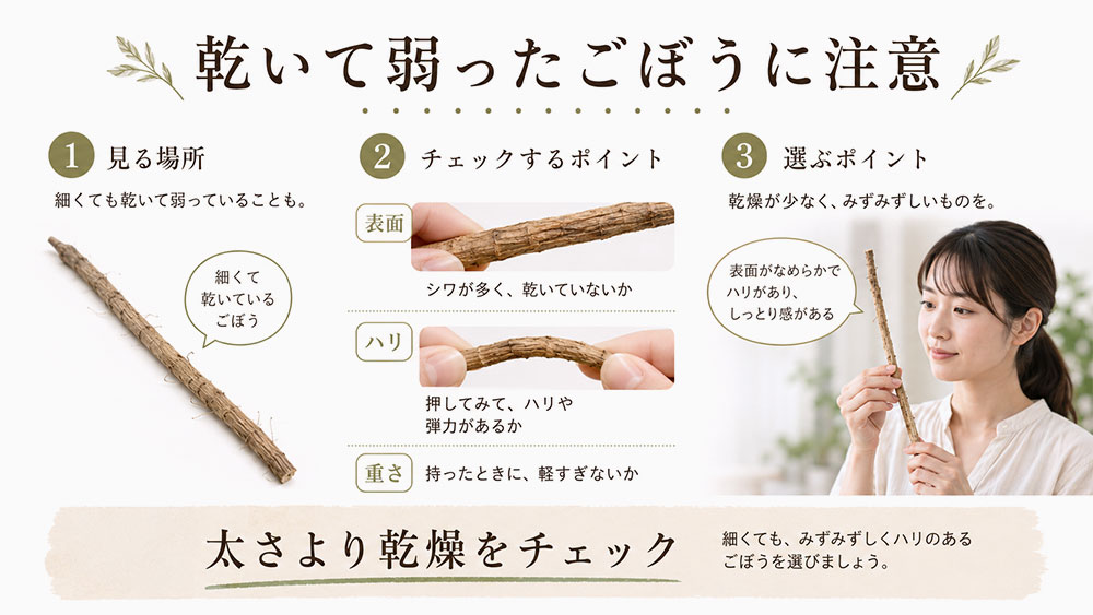 乾燥してしなびたごぼうは避ける