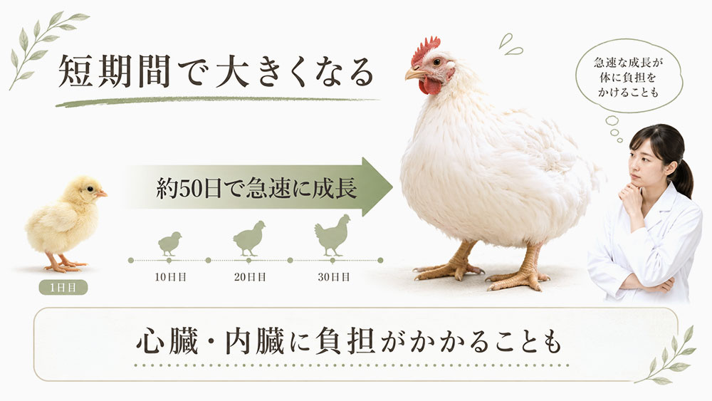 心臓や内臓に負担がかかることがある