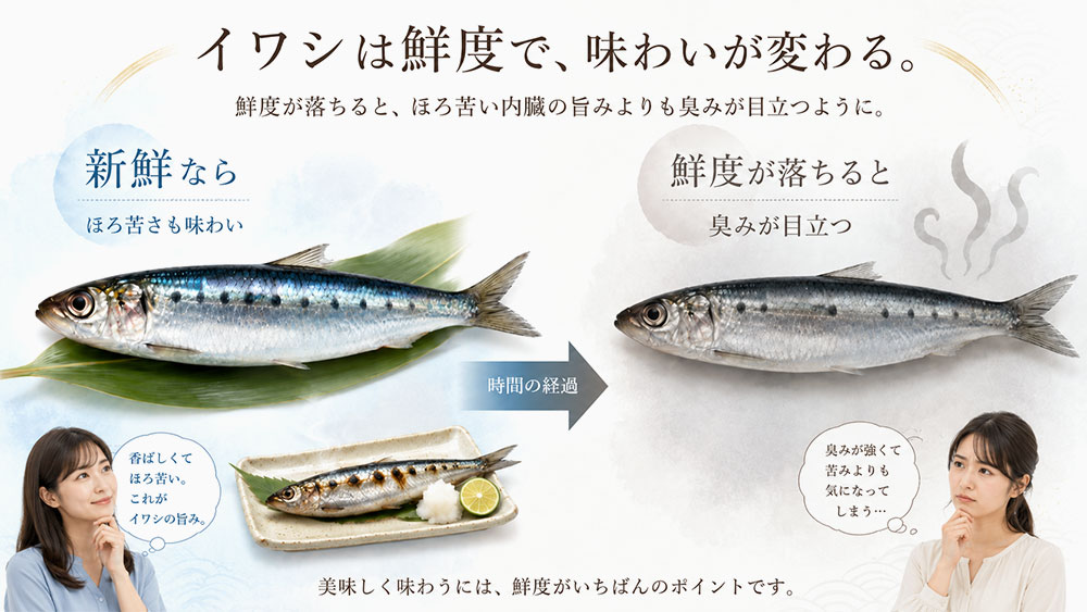 鮮度が落ちると苦味より臭みが目立ちやすい