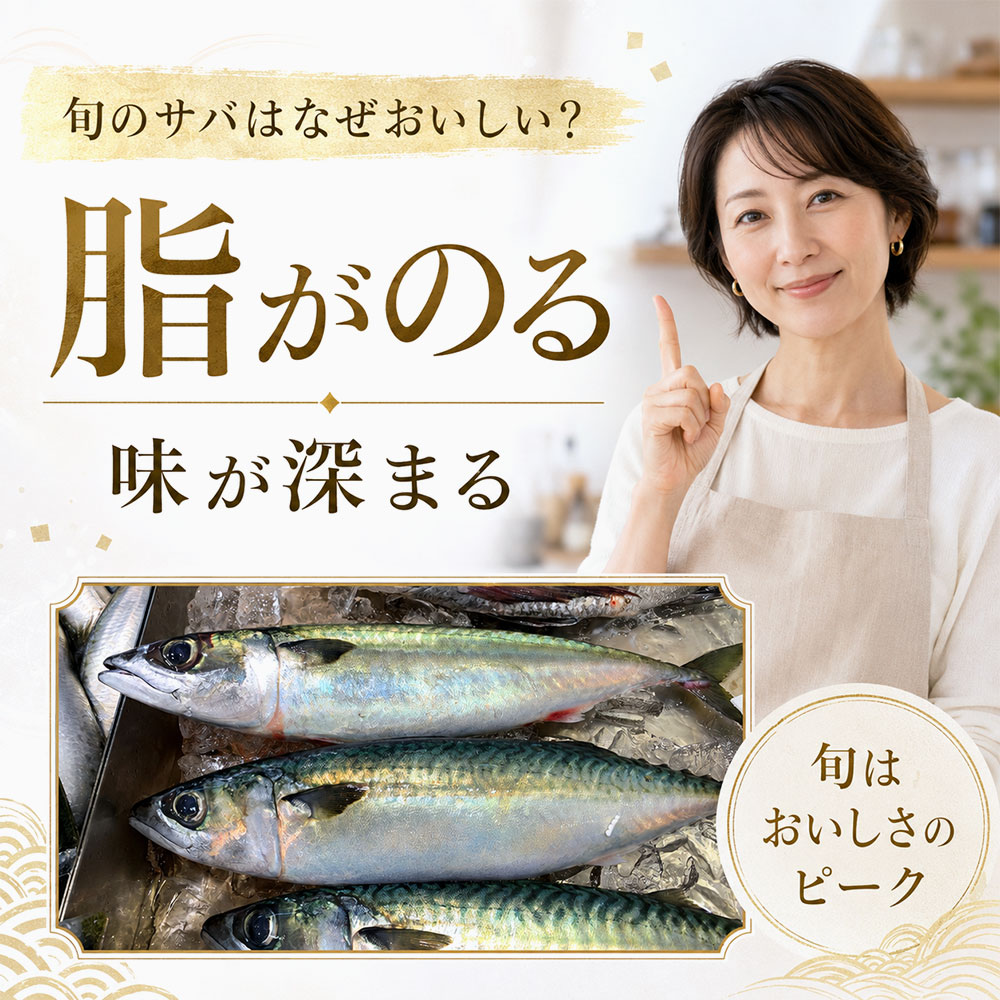 旬のサバはなぜおいしい?脂のりと味の変化