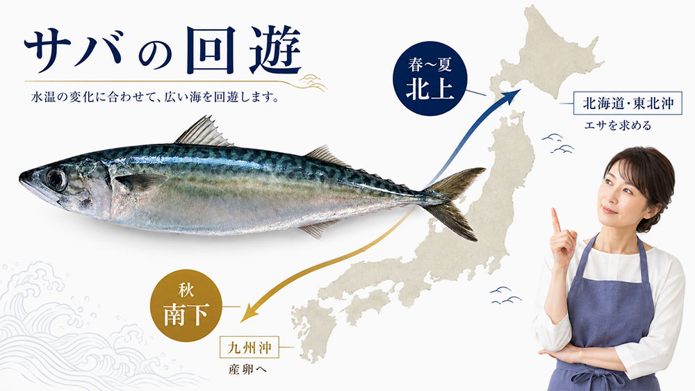 地域によって旬の時期が前後する理由