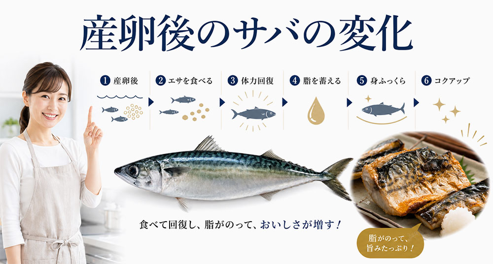 産卵後に餌を食べて脂を蓄えやすい