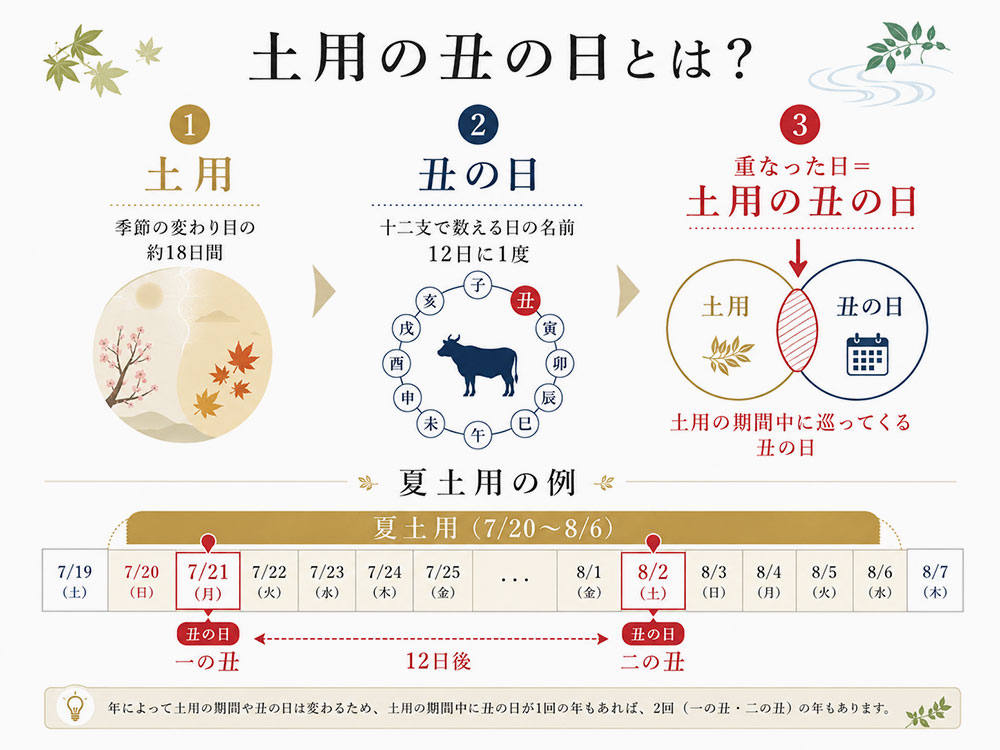 土用と丑の日が重なる日が「土用の丑の日」