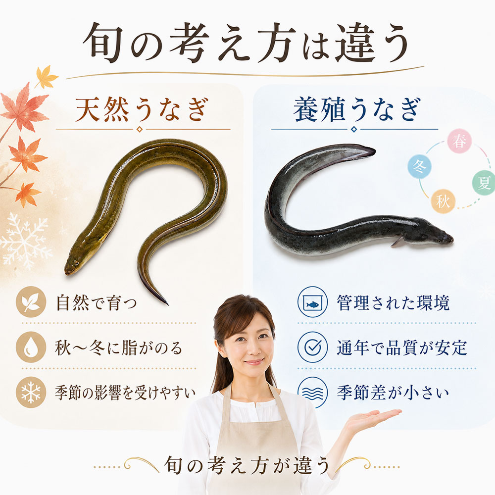 天然うなぎと養殖うなぎの旬の違い