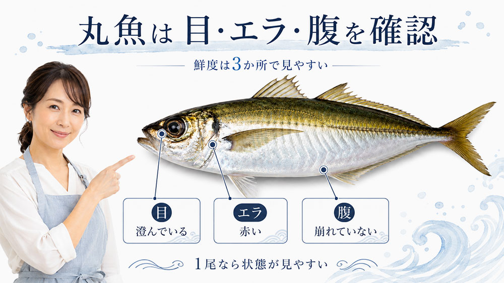 丸魚は目・エラ・腹を見る