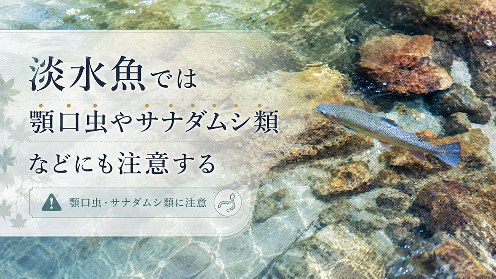 淡水魚では顎口虫やサナダムシ類などにも注意する