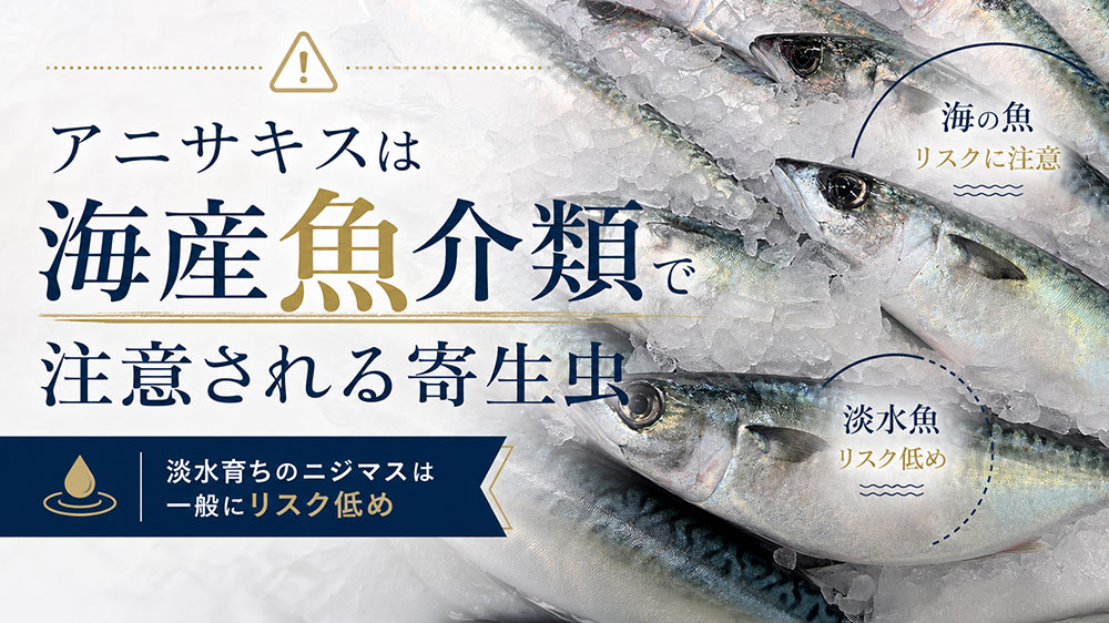 アニサキスは主に海産魚介類で注意される寄生虫