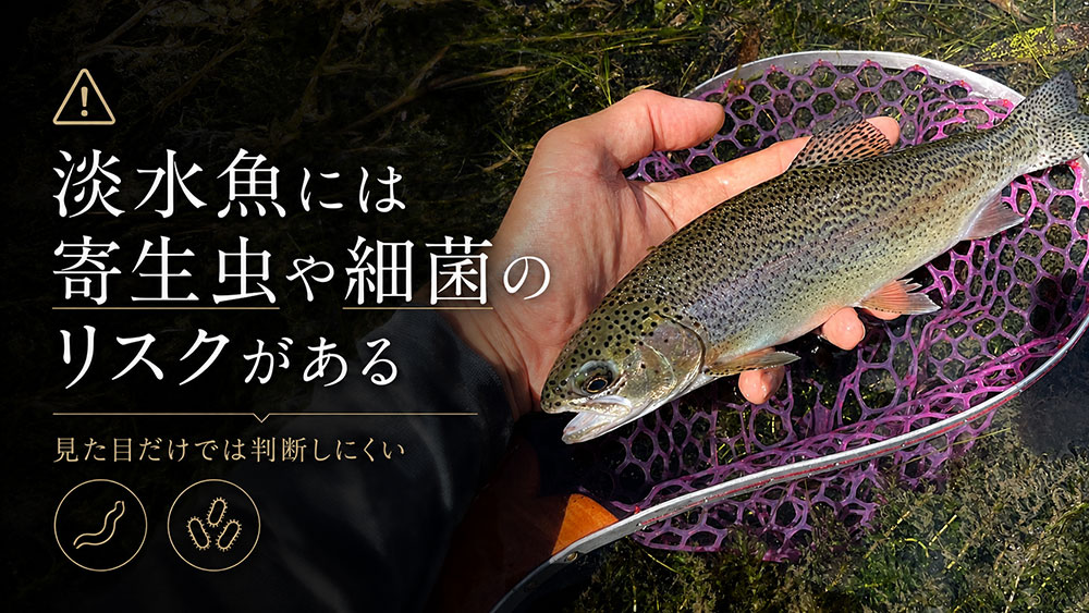 淡水魚には寄生虫や細菌のリスクがある