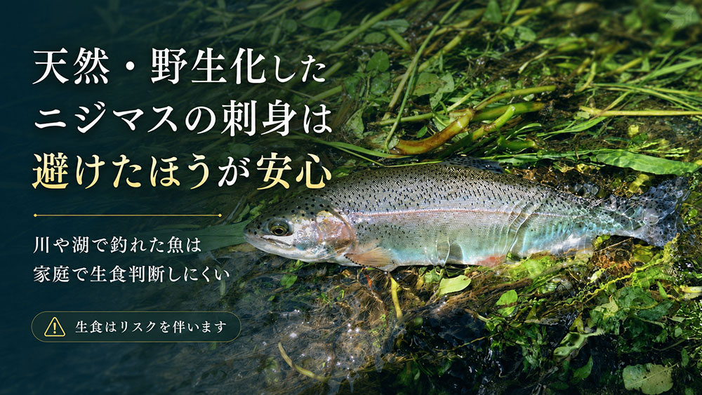 天然・野生化したニジマスの刺身は避けたほうが安心