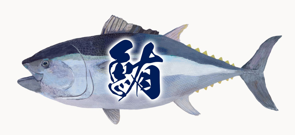 マグロとは