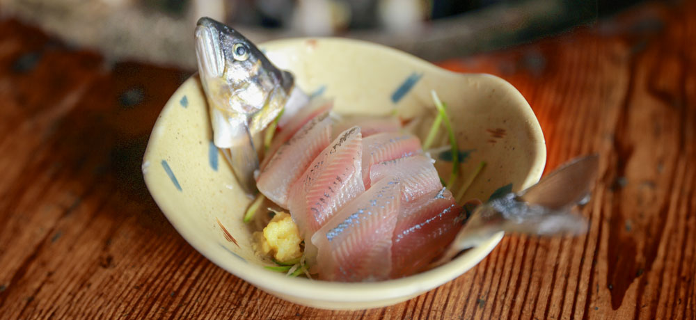 鮎の刺身は食べても大丈夫？