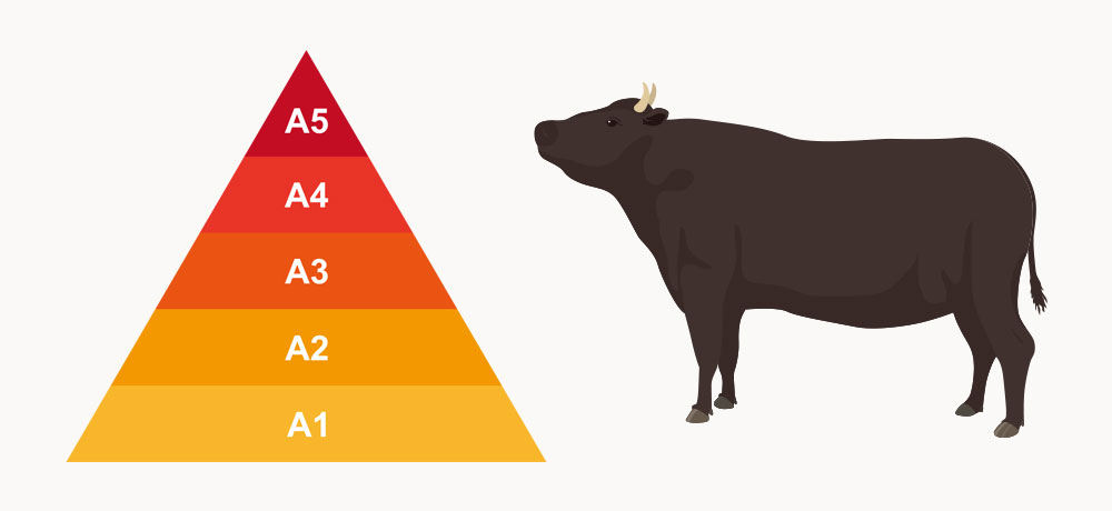 和牛のランクとその評価基準