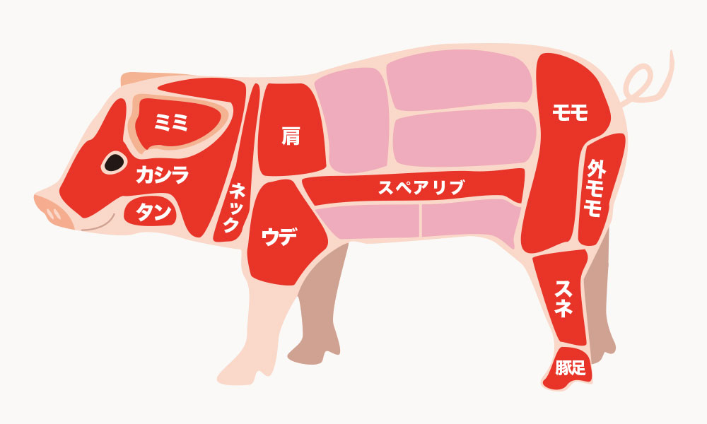 その他の豚肉の部位と特徴