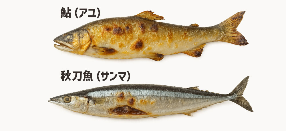 塩焼きで内蔵まで食べる代表的な魚は鮎と秋刀魚です。