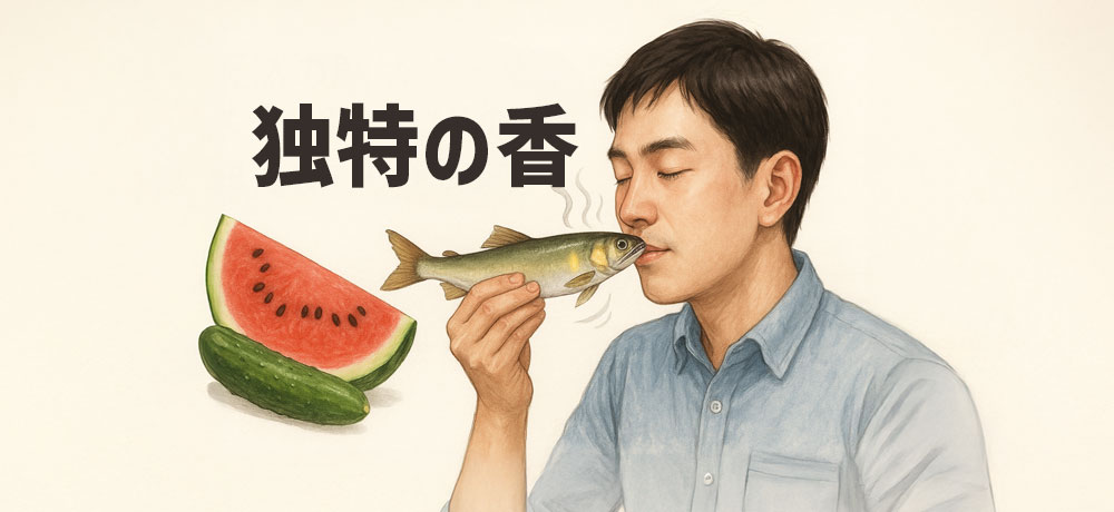 天然の鮎はスイカやキュウリのような独特の香りがします。