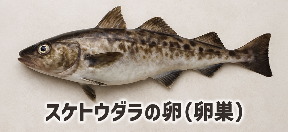 たらこと明太子の原料はスケトウダラの卵