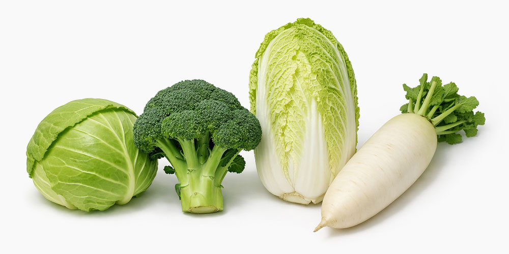 キャベツ、ブロッコリー、白菜、大根といったお馴染みの野菜も、すべてアブラナ科に属しています。