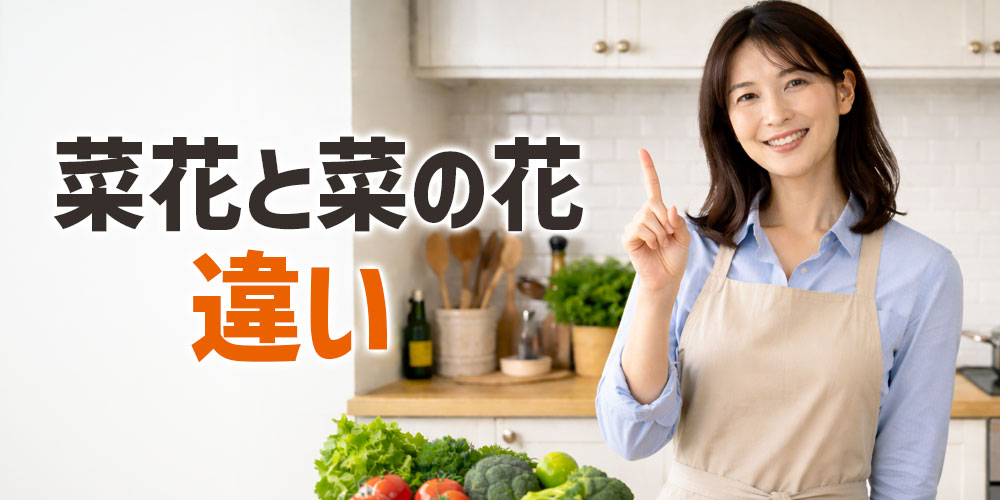 菜花(なばな)と菜の花の違いをまず結論から