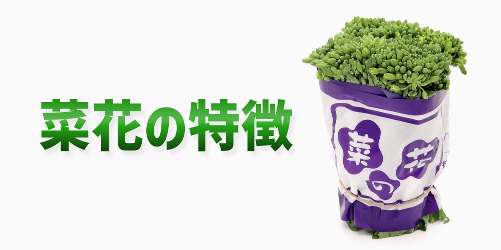 菜花(なばな)の特徴