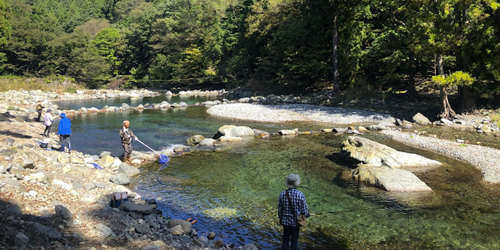 日本各地の釣り場や管理釣り場でよく見かけられます。