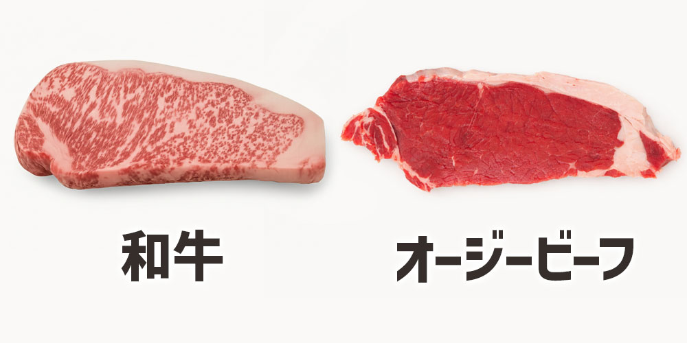 食感の好みの違い：「やわらかい」＝「おいしい」の文化