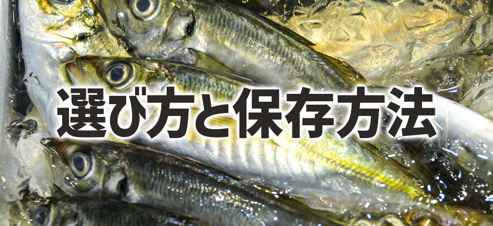 アジの選び方と保存方法
