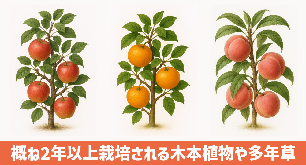 果物(果樹)