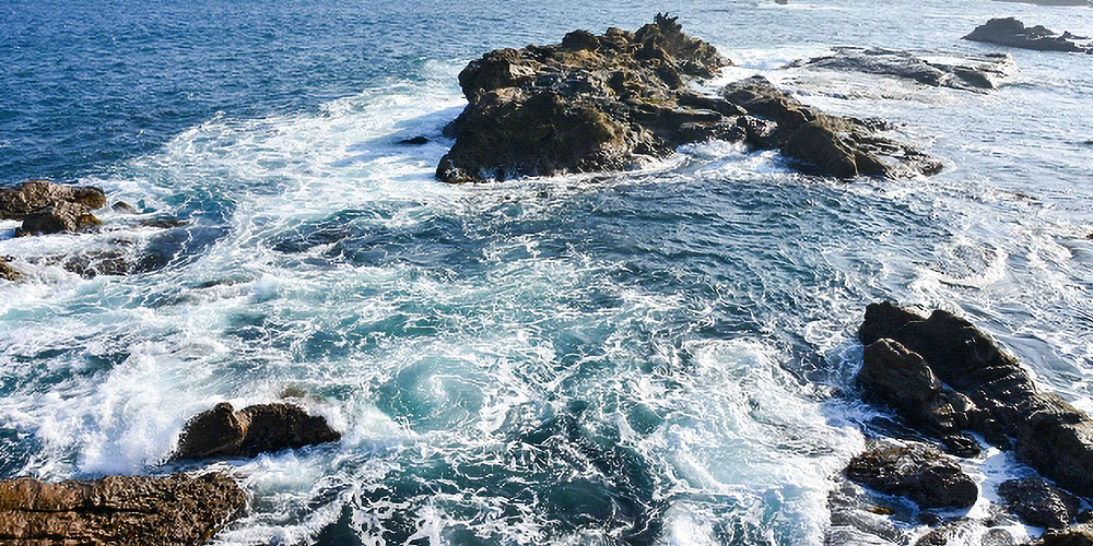 臭みがない黒鯛の生息場所