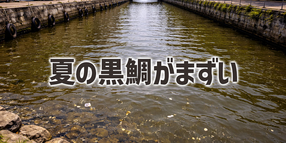 夏の黒鯛がまずいと言われやすい理由