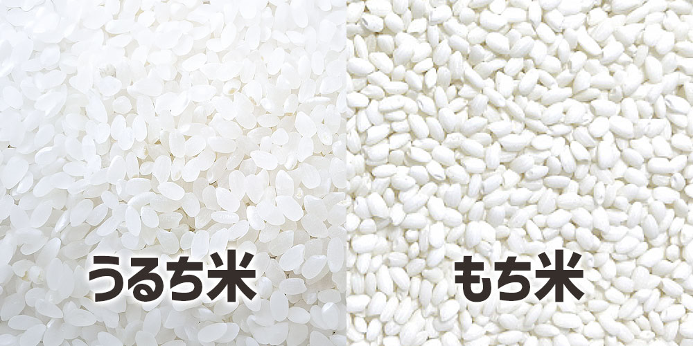 見た目の違い：炊く前の生の米粒で見分けるポイント