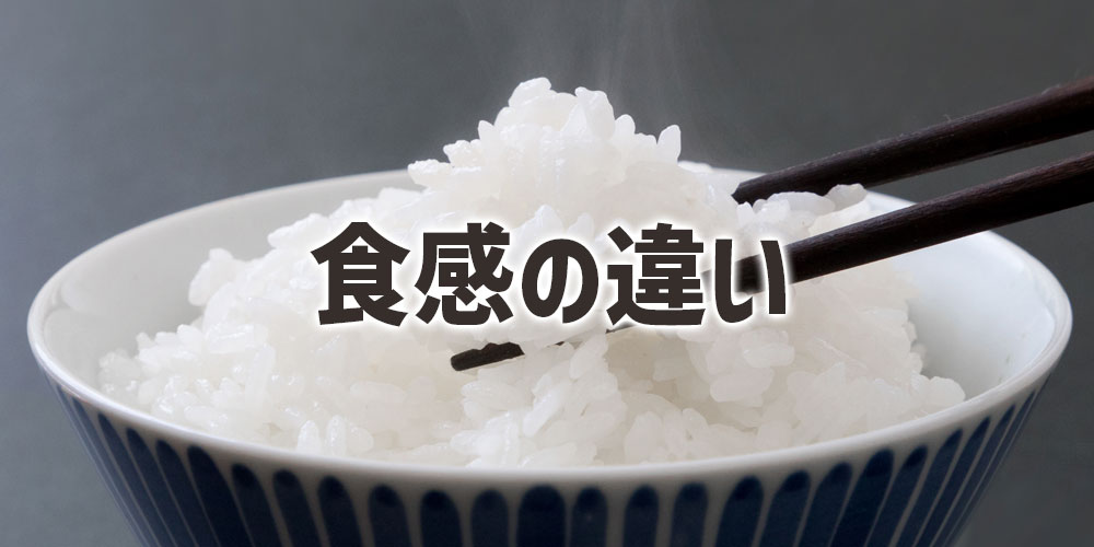 炊いた後の食感の違い