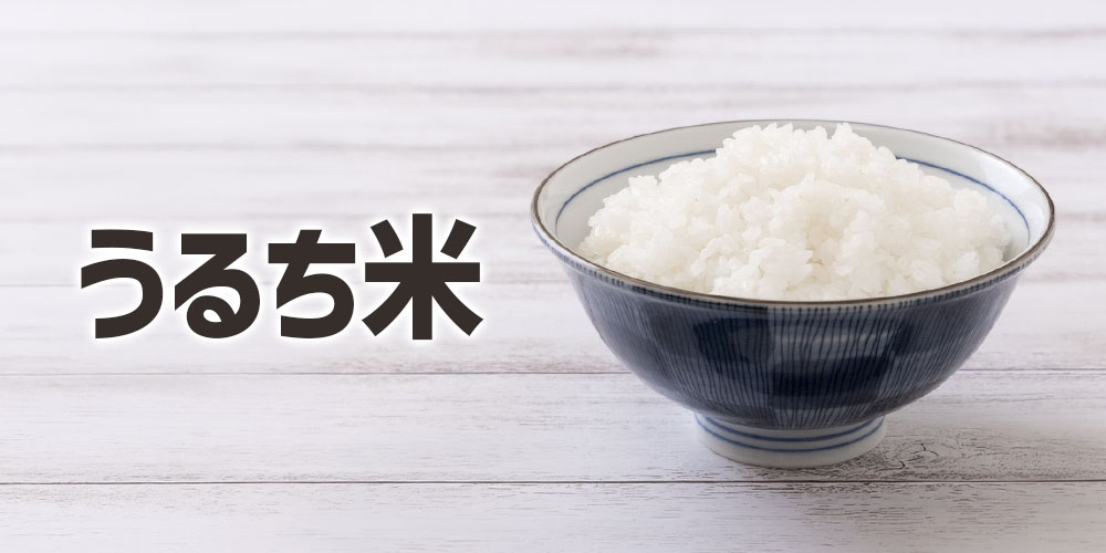 うるち米とは？普段食べているご飯の米