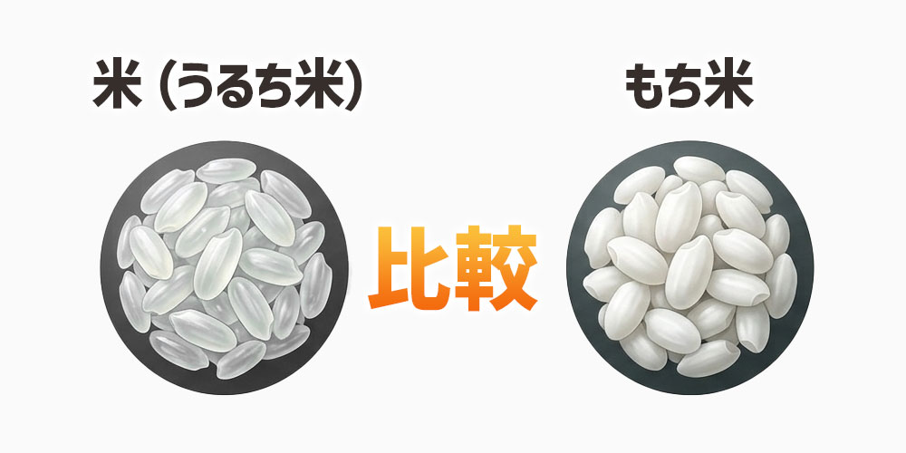 米（うるち米）ともち米の違いを一目で比較