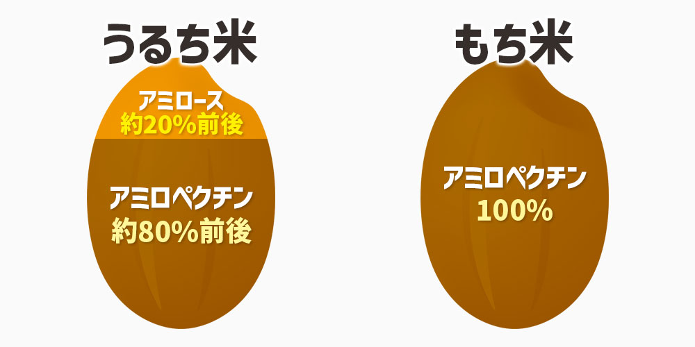 うるち米にはアミロースが約20％前後含まれていますが、もち米にはアミロースが含まれていません。