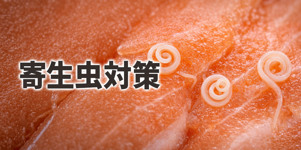 冷凍処理や養殖管理による寄生虫対策