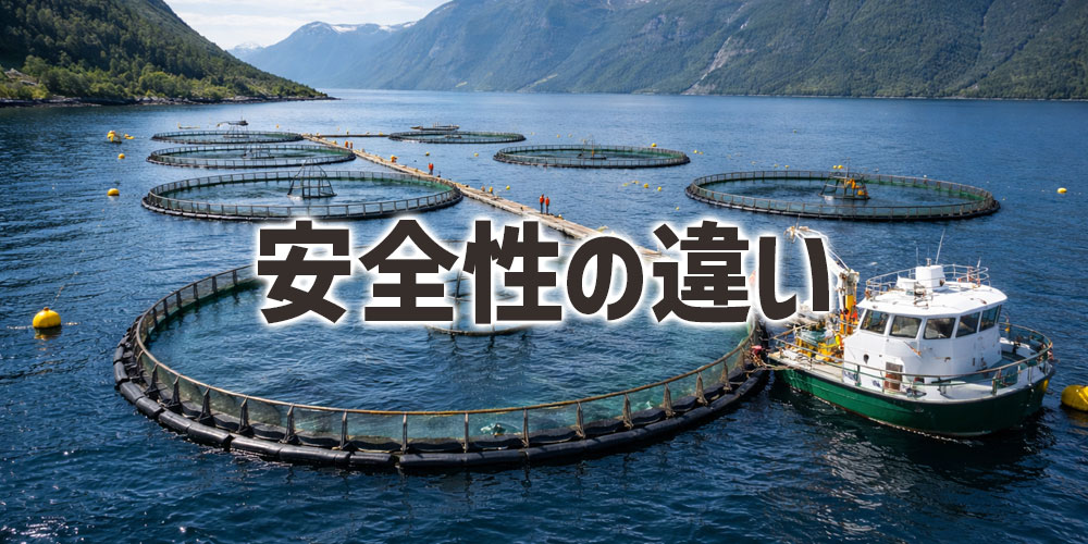 養殖サーモンと天然サーモンの安全性の違い