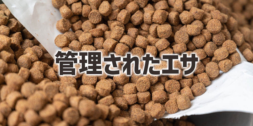 回転寿司のサーモンが安全といわれる理由