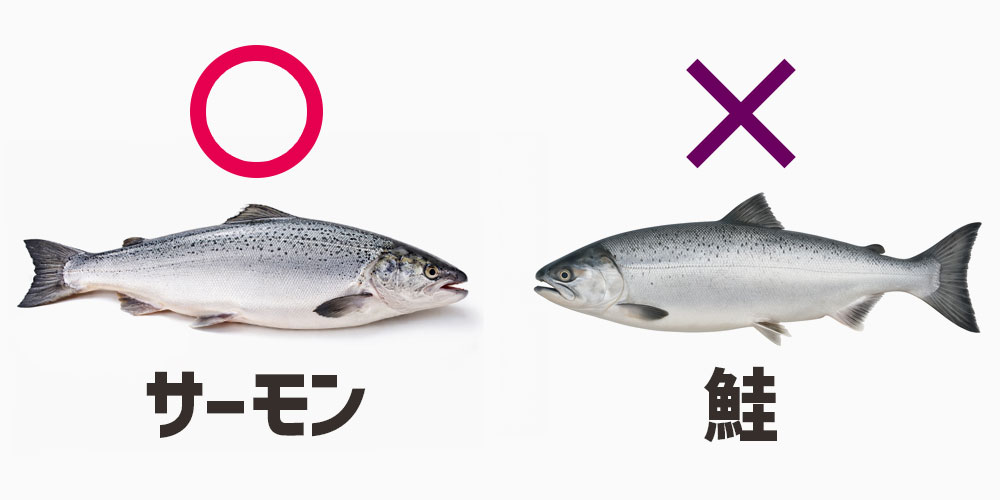 なぜ回転寿司では鮭ではなくサーモンが主流なのか