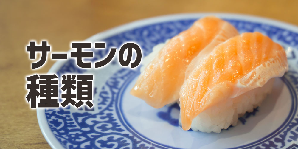 回転寿司で使われているサーモンの種類