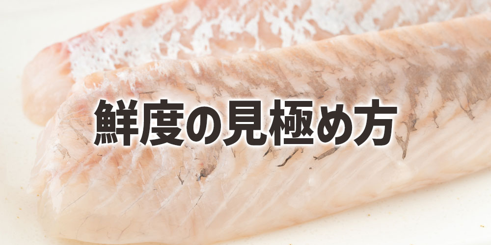 透明感のある身と鮮度の見極め方
