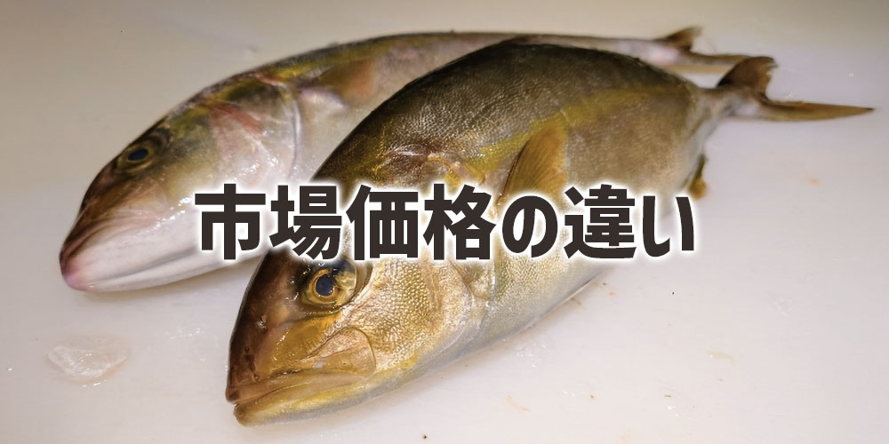 市場価格の違い