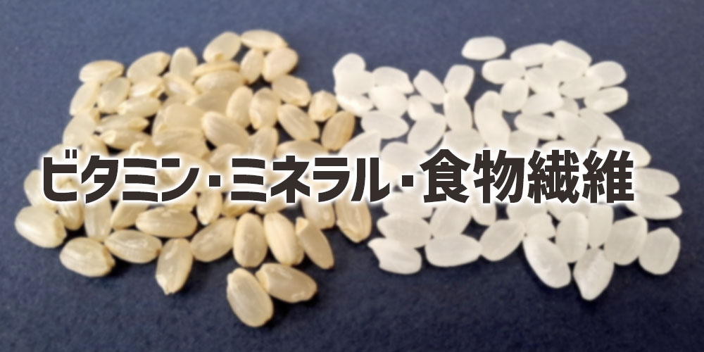 ビタミン・ミネラル・食物繊維の違い