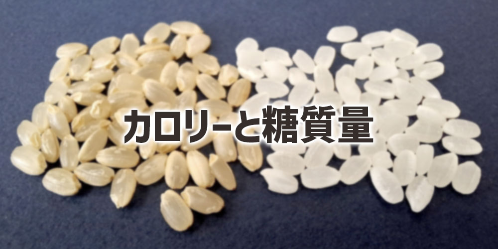 カロリーと糖質量の違い