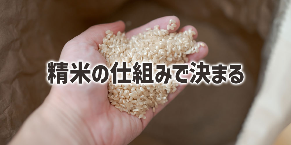 玄米と白米の違いは精米の仕組みで決まる