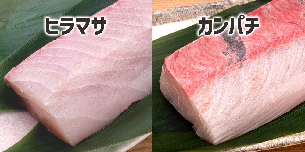 ヒラマサとカンパチの切り身と刺身の違い