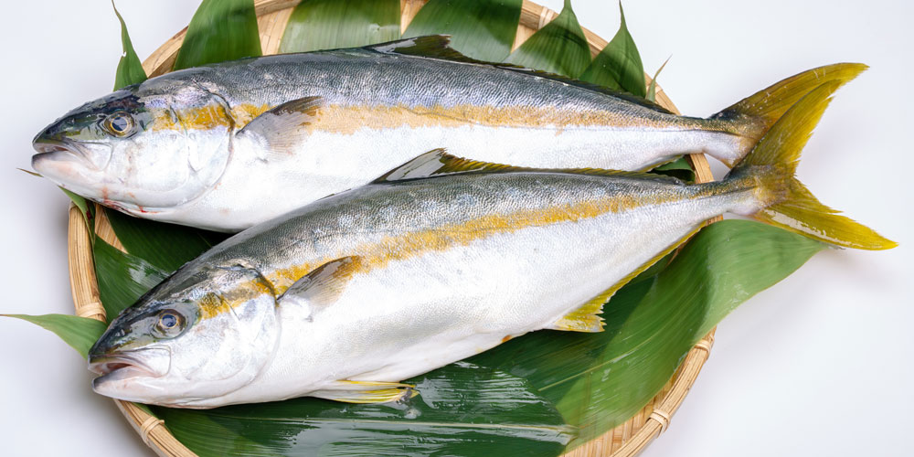 市場価格の相場比較と値段の傾向