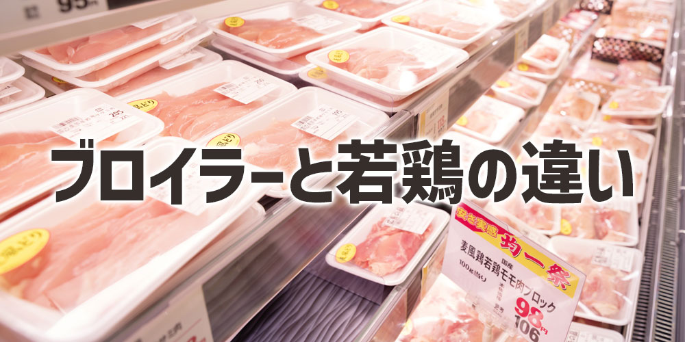 ブロイラーと若鶏の違い