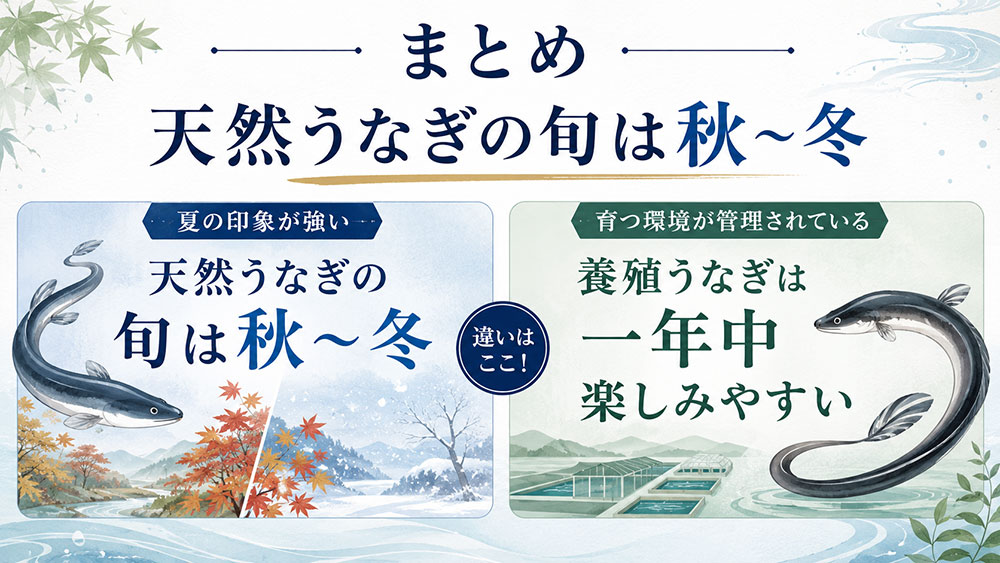 うなぎの旬は天然と養殖で違う理由：まとめ